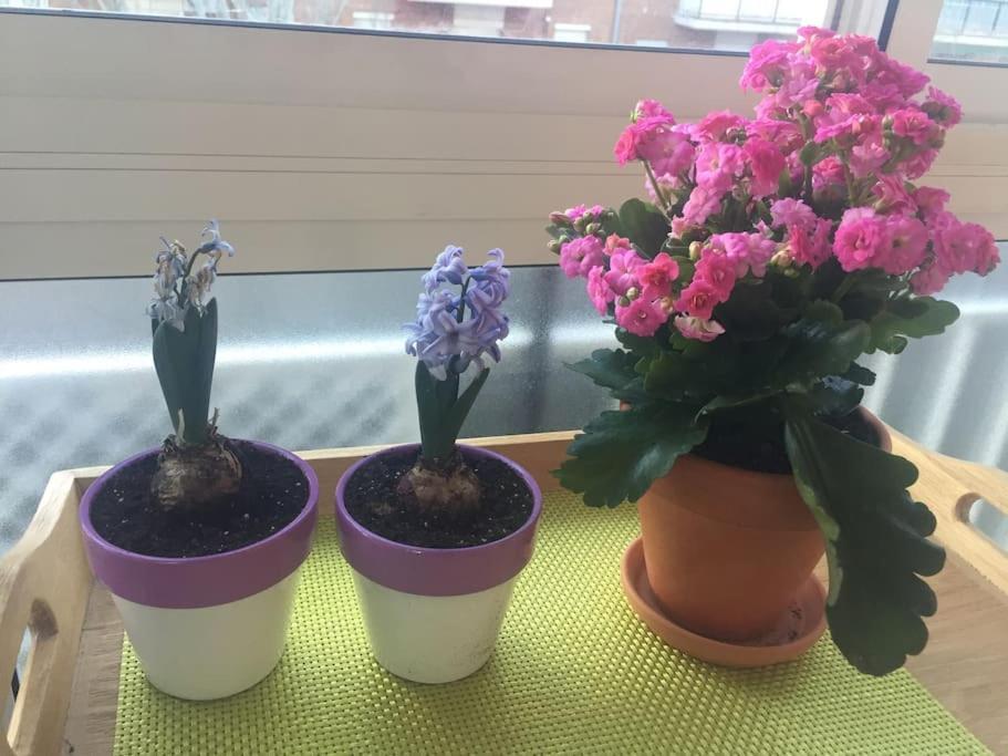 Appartement Apartamento Ciudad Lineal Reciente Reforma à Madrid Extérieur photo